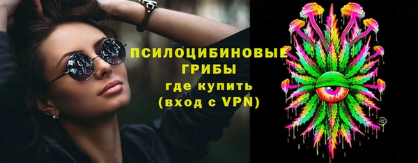 прущие грибы Бугульма