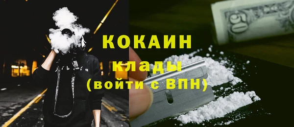прущие грибы Бугульма