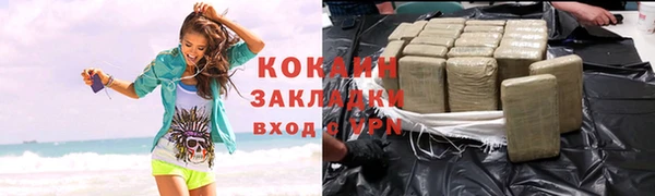 прущие грибы Бугульма