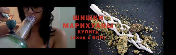 прущие грибы Бугульма