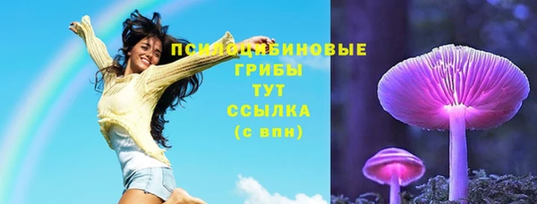 прущие грибы Бугульма