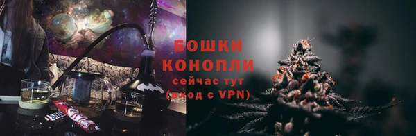 прущие грибы Бугульма