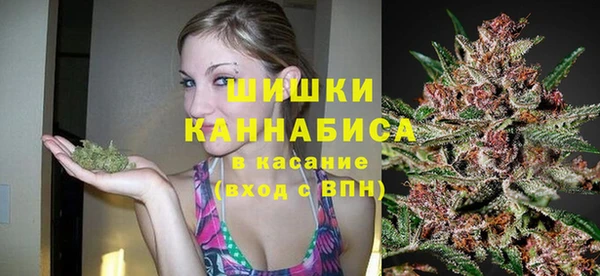прущие грибы Бугульма