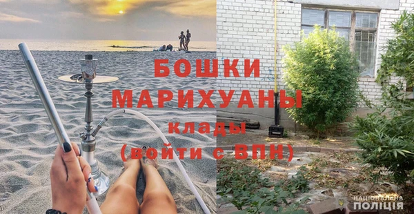 прущие грибы Бугульма