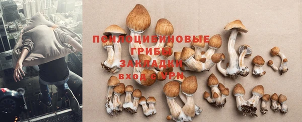 мескалин Бородино