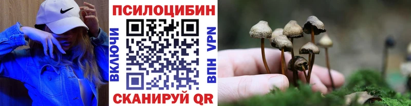 Псилоцибиновые грибы мухоморы  даркнет сайт  Нолинск 